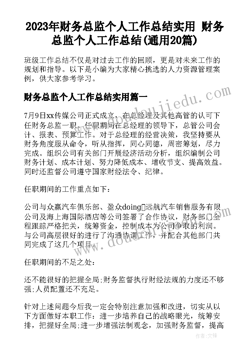 2023年财务总监个人工作总结实用 财务总监个人工作总结(通用20篇)