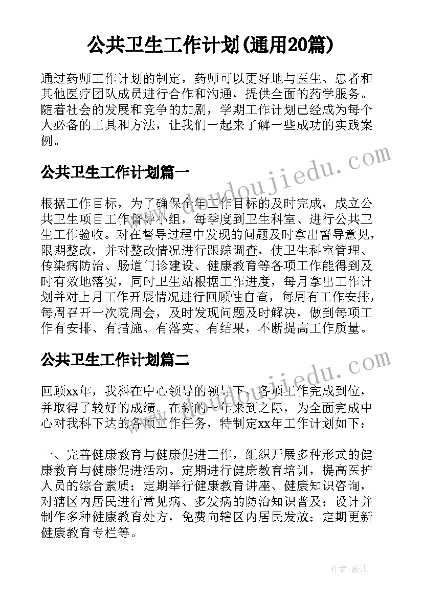 公共卫生工作计划(通用20篇)