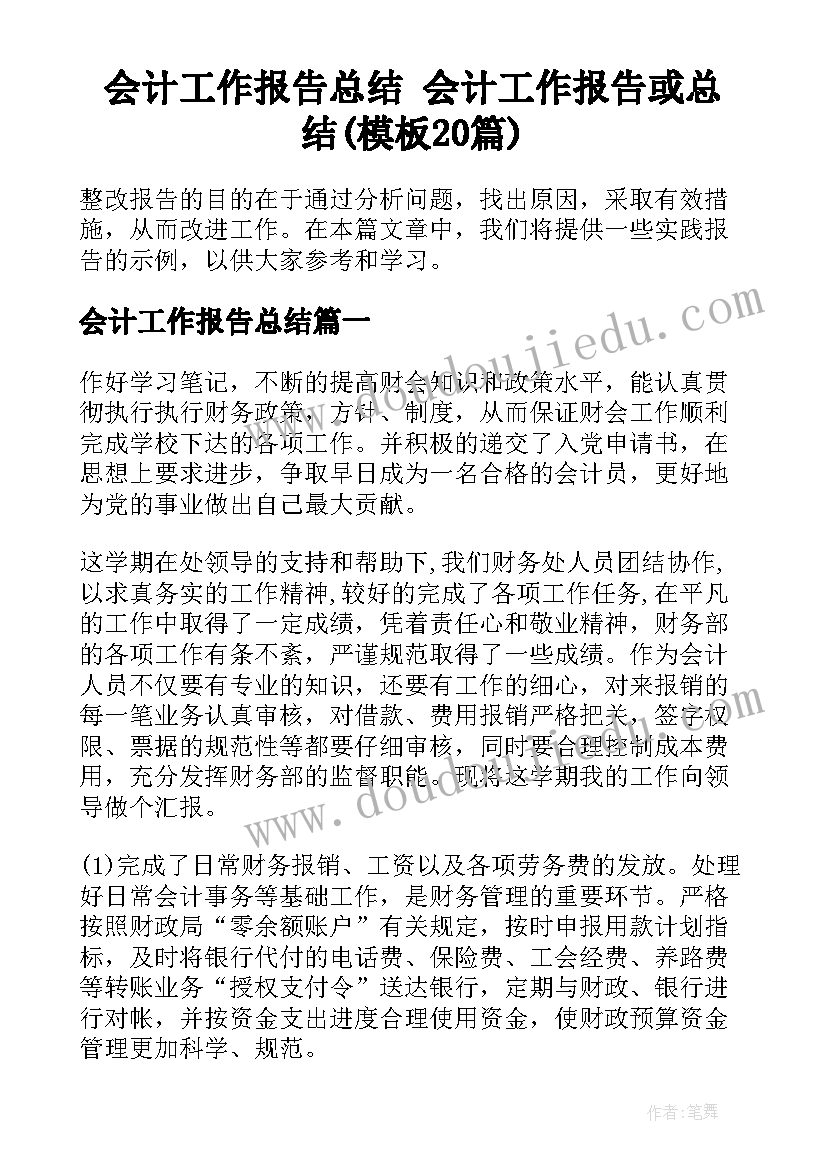 会计工作报告总结 会计工作报告或总结(模板20篇)