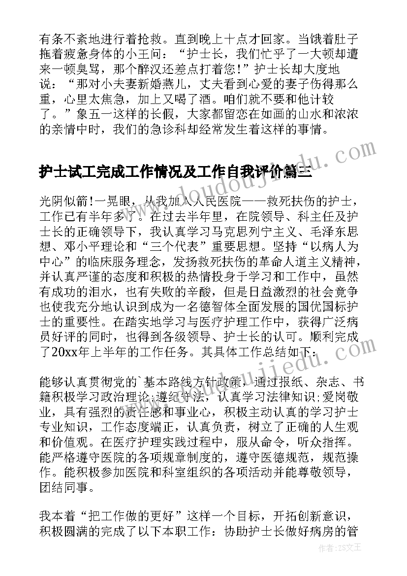 护士试工完成工作情况及工作自我评价 护士工作总结(优秀14篇)