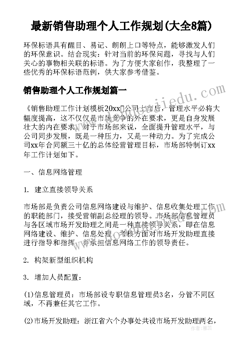 最新销售助理个人工作规划(大全8篇)