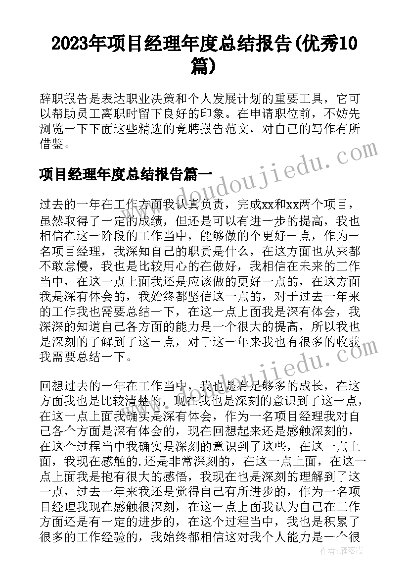 2023年项目经理年度总结报告(优秀10篇)