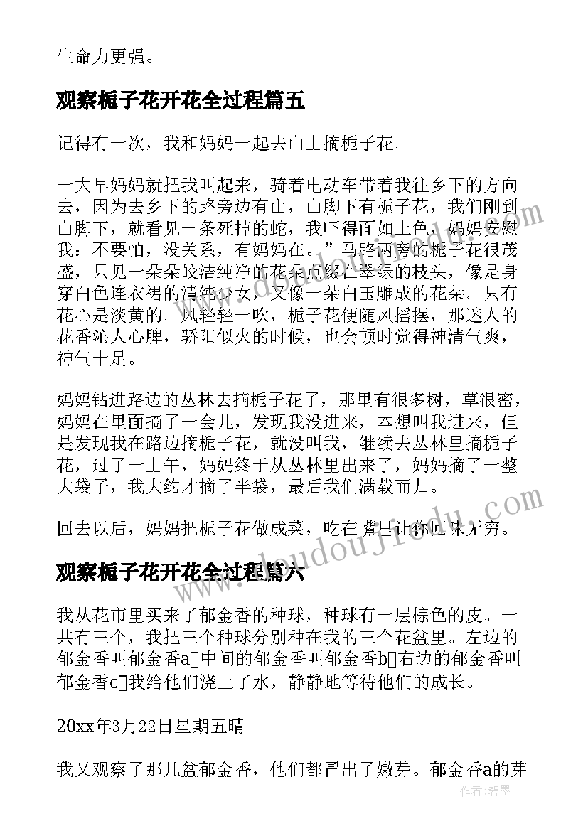 观察栀子花开花全过程 观察栀子花日记小学(精选8篇)