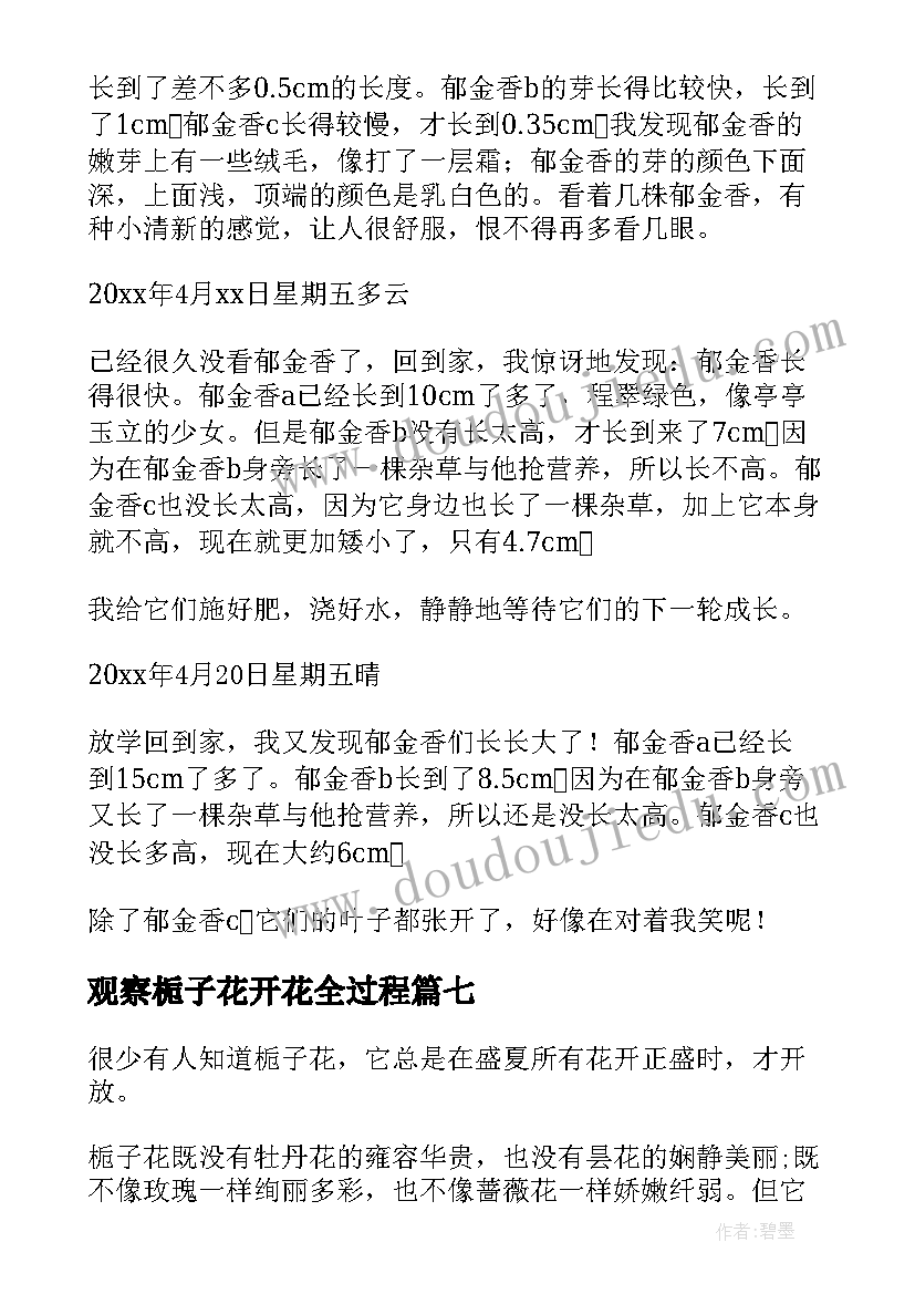 观察栀子花开花全过程 观察栀子花日记小学(精选8篇)