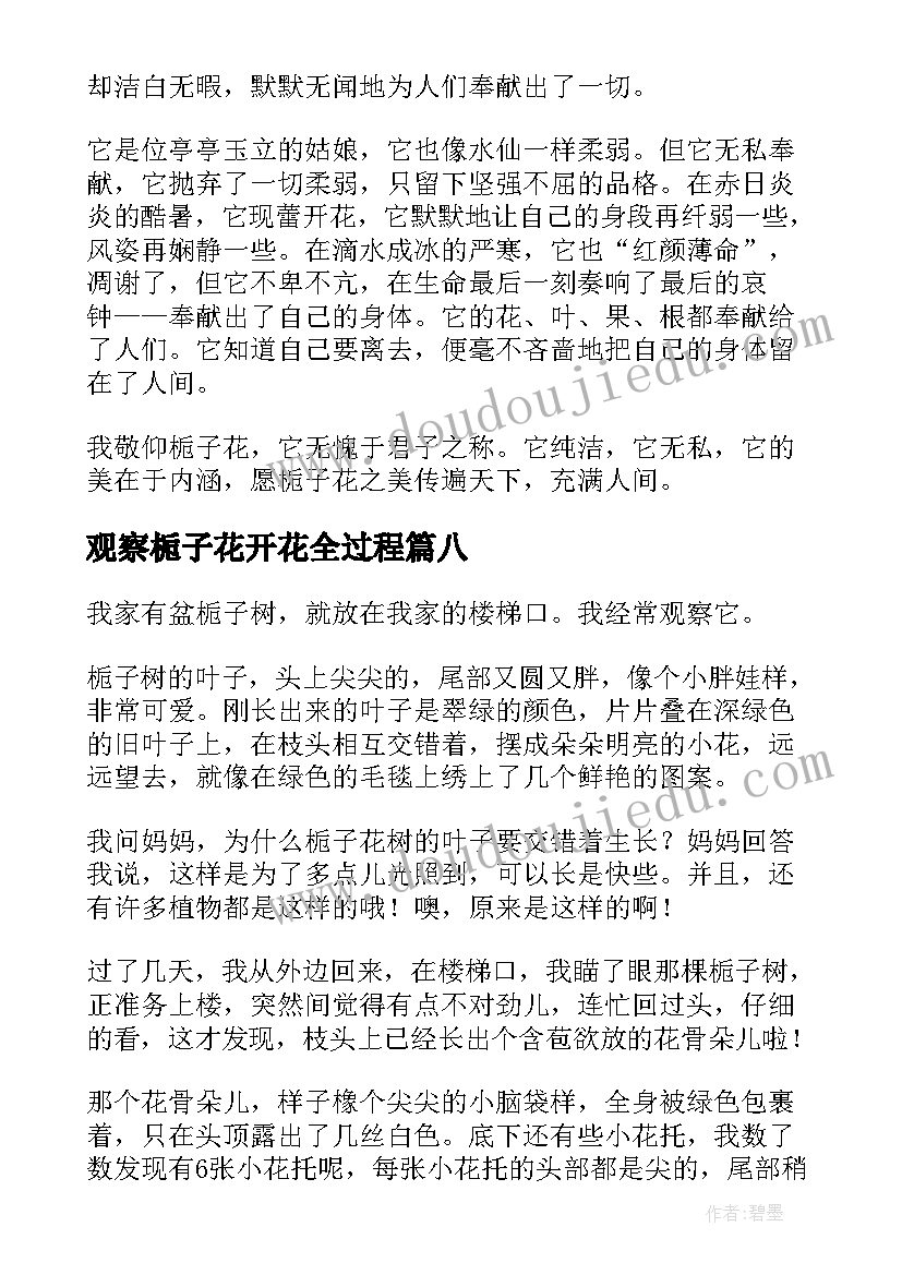 观察栀子花开花全过程 观察栀子花日记小学(精选8篇)