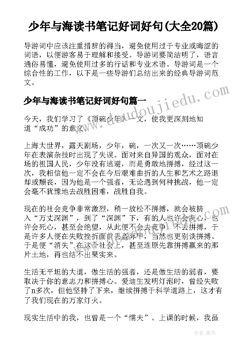 少年与海读书笔记好词好句(大全20篇)