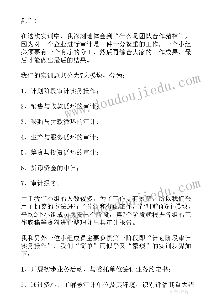 审计的实训报告 审计实训报告(大全15篇)