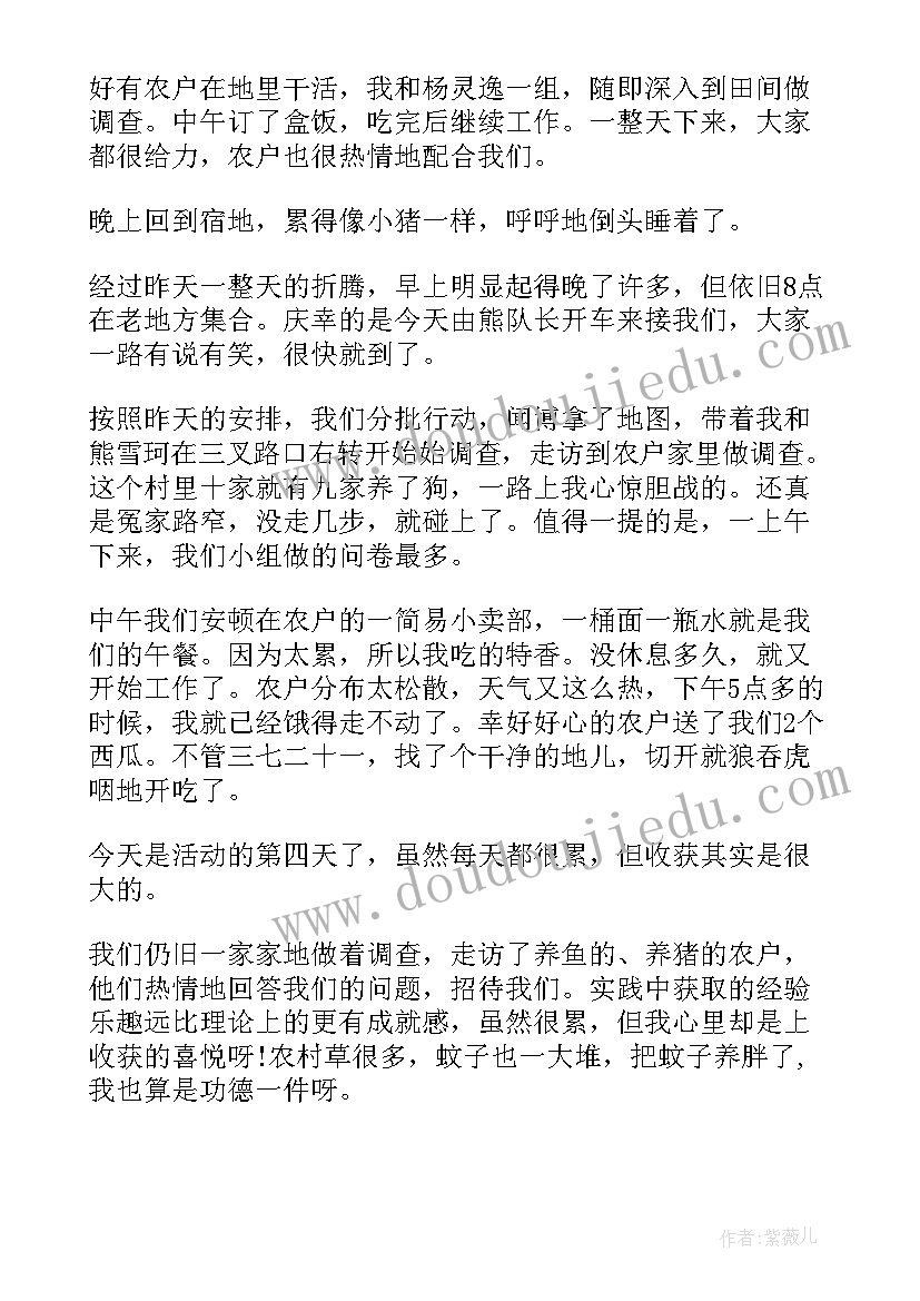 2023年大学生暑期三下乡实践报告引言(通用11篇)