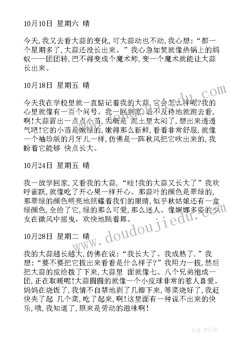 蒜苗成长记手抄报(汇总20篇)