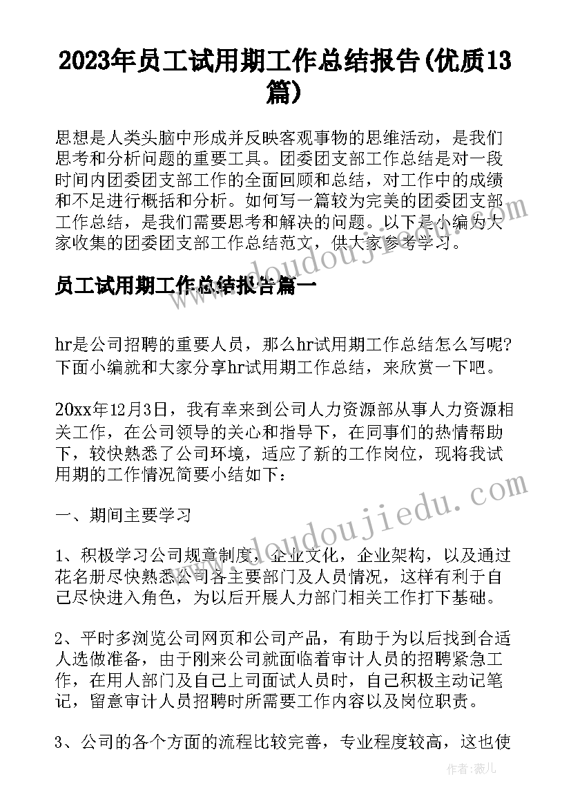 2023年员工试用期工作总结报告(优质13篇)