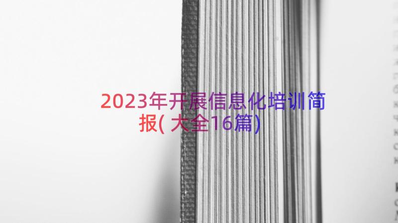 2023年开展信息化培训简报(大全16篇)