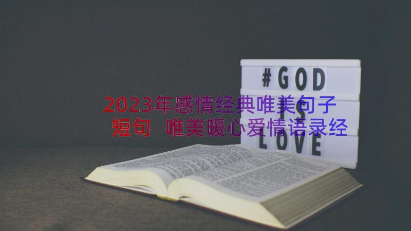 2023年感情经典唯美句子短句 唯美暖心爱情语录经典(精选5篇)