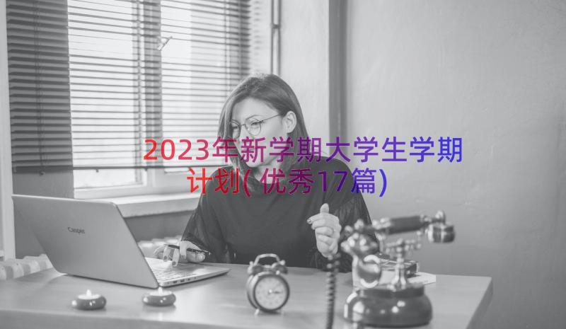2023年新学期大学生学期计划(优秀17篇)