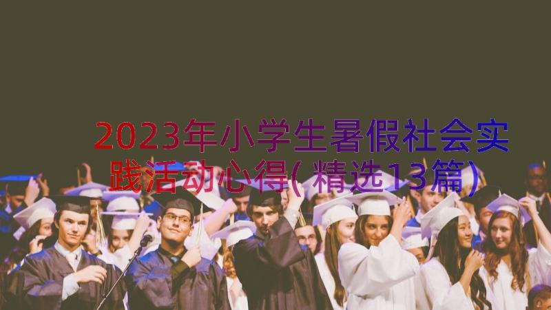 2023年小学生暑假社会实践活动心得(精选13篇)