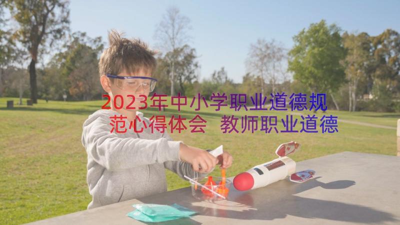 2023年中小学职业道德规范心得体会 教师职业道德规范心得体会(通用9篇)