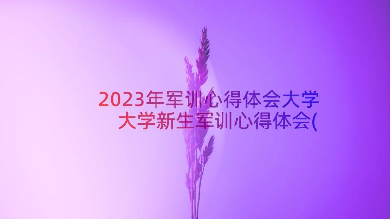 2023年军训心得体会大学 大学新生军训心得体会(实用12篇)