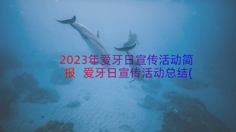 2023年爱牙日宣传活动简报 爱牙日宣传活动总结(大全17篇)