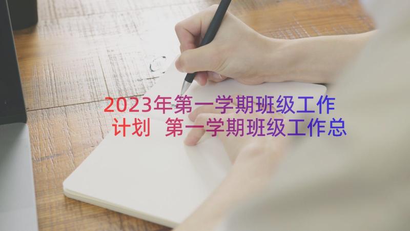 2023年第一学期班级工作计划 第一学期班级工作总结(通用12篇)