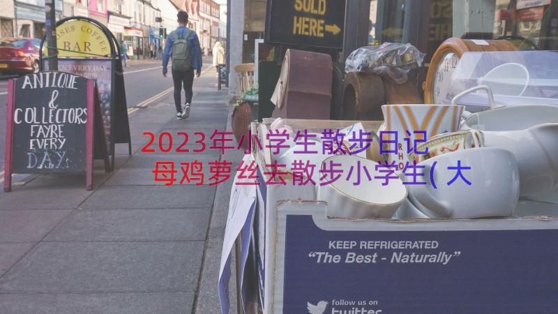 2023年小学生散步日记 母鸡萝丝去散步小学生(大全8篇)
