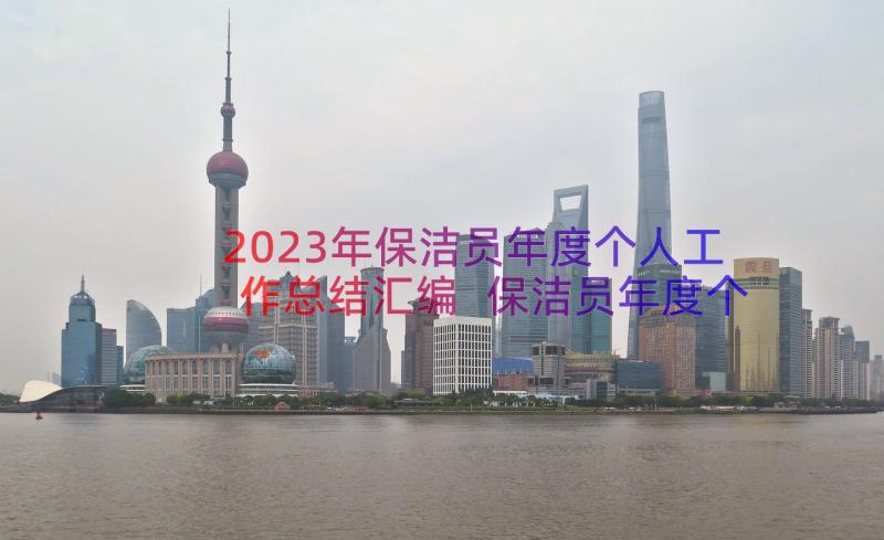 2023年保洁员年度个人工作总结汇编 保洁员年度个人工作总结(大全8篇)