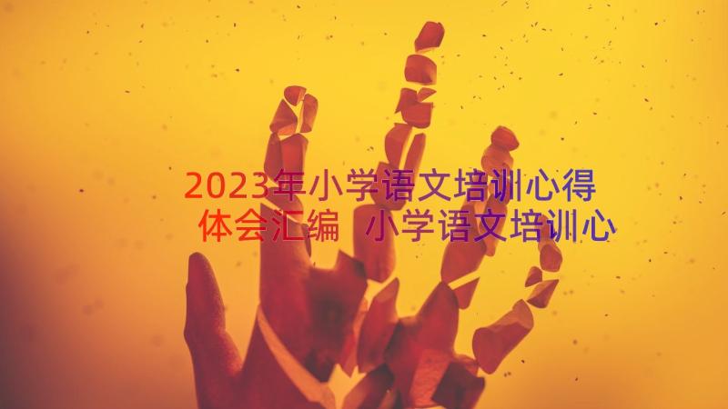 2023年小学语文培训心得体会汇编 小学语文培训心得体会(通用15篇)