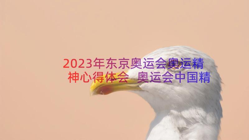 2023年东京奥运会奥运精神心得体会 奥运会中国精神心得体会(模板13篇)