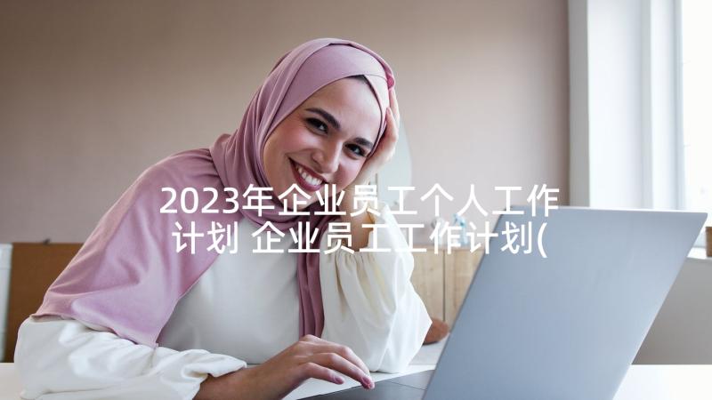 2023年企业员工个人工作计划 企业员工工作计划(精选6篇)