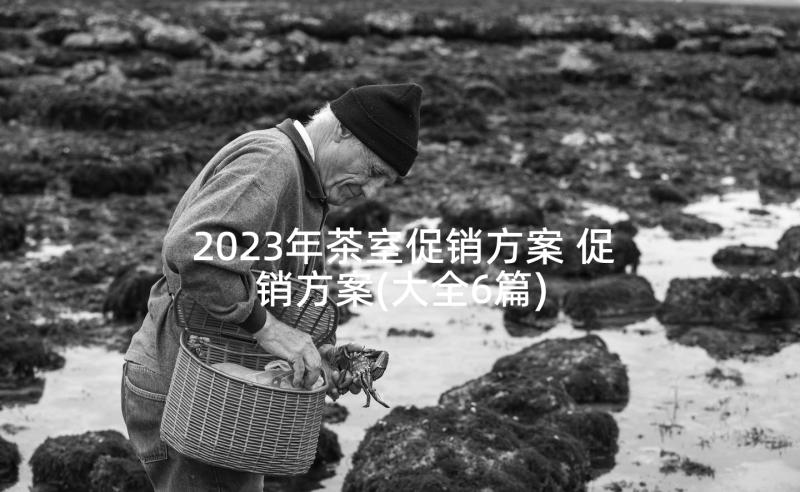 2023年茶室促销方案 促销方案(大全6篇)