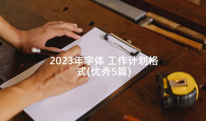 2023年字体 工作计划格式(优秀5篇)