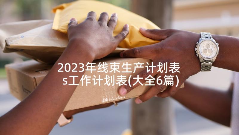 2023年线束生产计划表 s工作计划表(大全6篇)