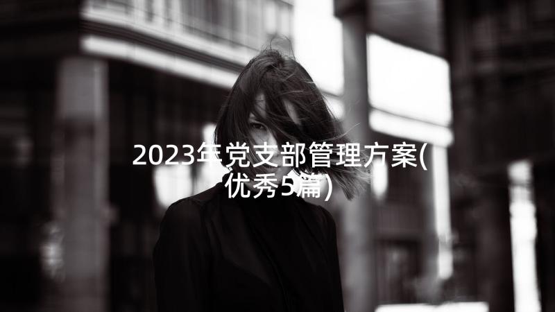 2023年党支部管理方案(优秀5篇)