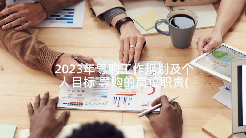2023年导购工作规划及个人目标 导购的岗位职责(优秀7篇)