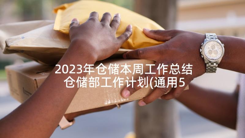 2023年仓储本周工作总结 仓储部工作计划(通用5篇)