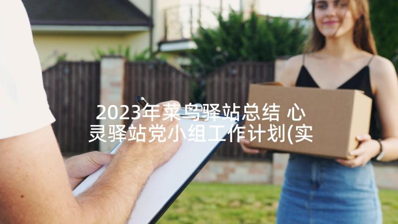 2023年菜鸟驿站总结 心灵驿站党小组工作计划(实用5篇)
