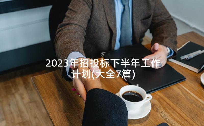 2023年招投标下半年工作计划(大全7篇)
