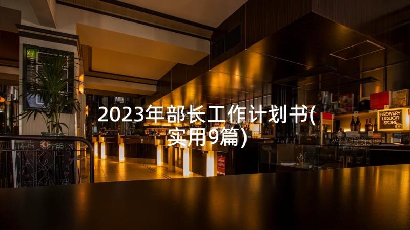 2023年部长工作计划书(实用9篇)