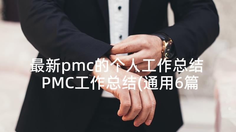 最新pmc的个人工作总结 PMC工作总结(通用6篇)