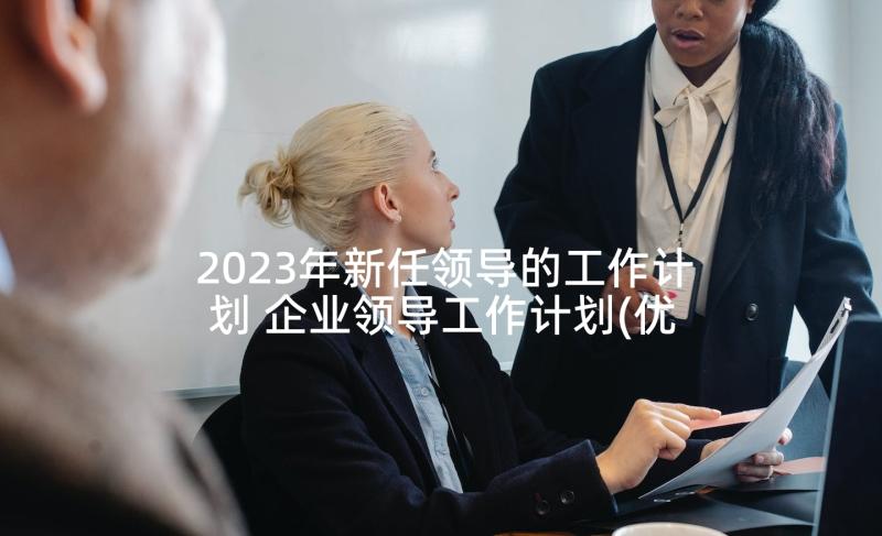 2023年新任领导的工作计划 企业领导工作计划(优秀9篇)