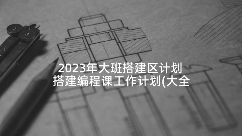2023年大班搭建区计划 搭建编程课工作计划(大全5篇)