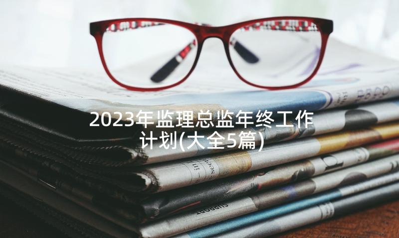 2023年监理总监年终工作计划(大全5篇)
