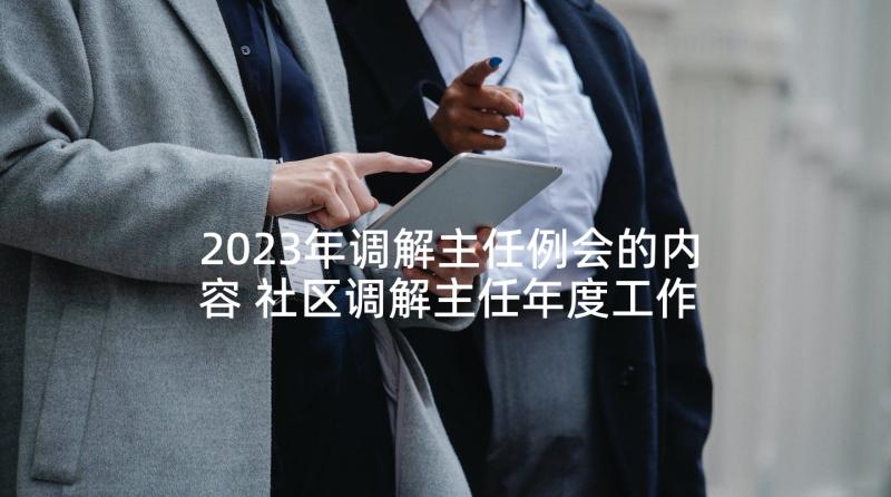 2023年调解主任例会的内容 社区调解主任年度工作计划(大全10篇)