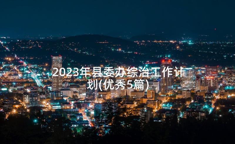 2023年县委办综治工作计划(优秀5篇)