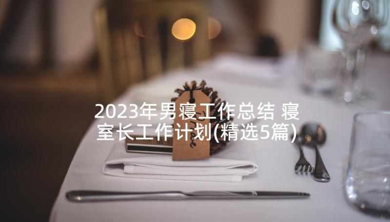2023年男寝工作总结 寝室长工作计划(精选5篇)