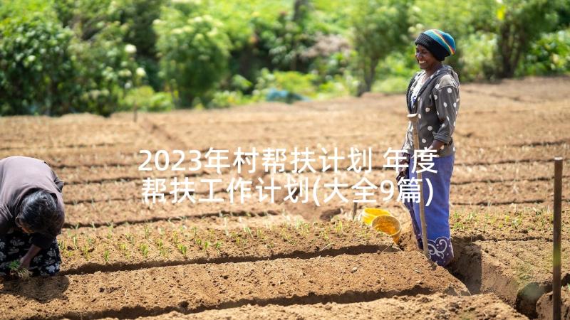 2023年村帮扶计划 年度帮扶工作计划(大全9篇)