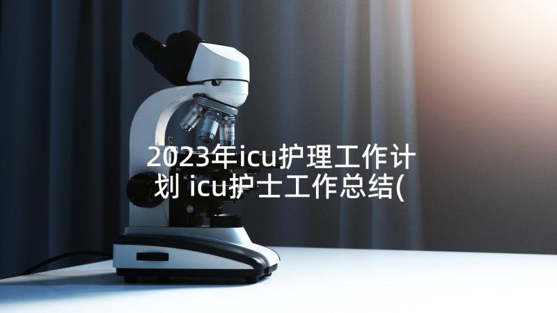 2023年icu护理工作计划 icu护士工作总结(通用6篇)