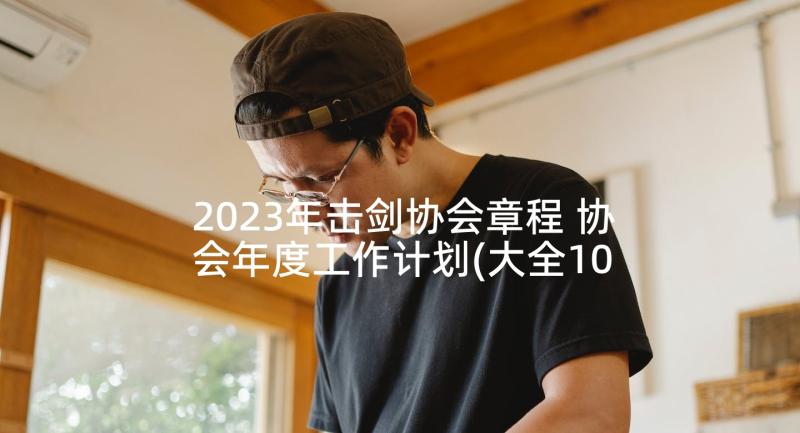 2023年击剑协会章程 协会年度工作计划(大全10篇)