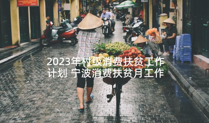 2023年村级消费扶贫工作计划 宁波消费扶贫月工作计划(精选5篇)