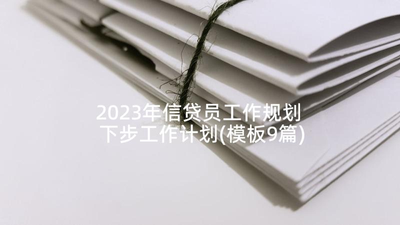 2023年信贷员工作规划 下步工作计划(模板9篇)