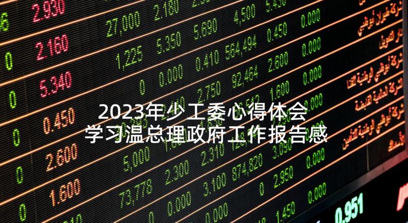 2023年少工委心得体会 学习温总理政府工作报告感想(模板5篇)