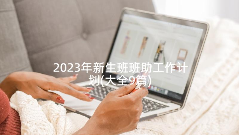 2023年新生班班助工作计划(大全9篇)